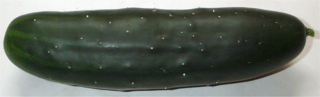 Cucumis sativus