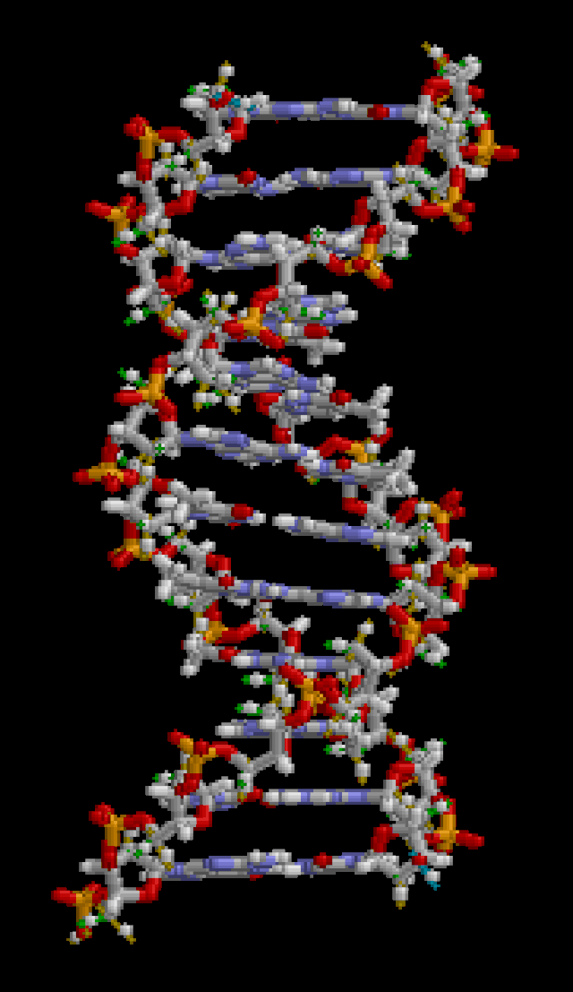 DNA_animation