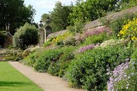 Oxford_Botanic_Garden,_Flowers